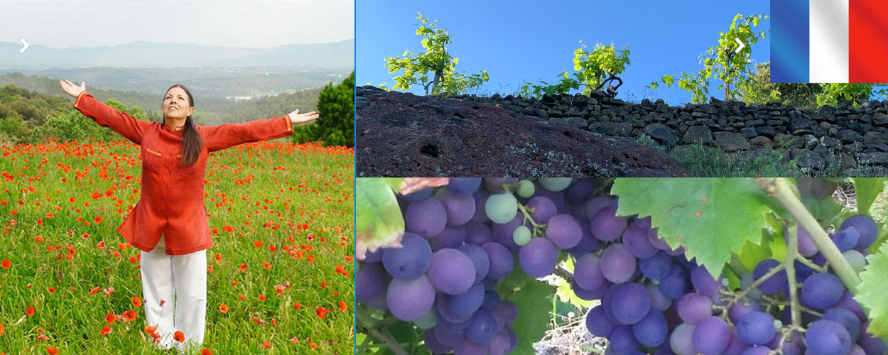 Tout savoir sur le cours de Montserrat spécial Vigne et Vignerons
